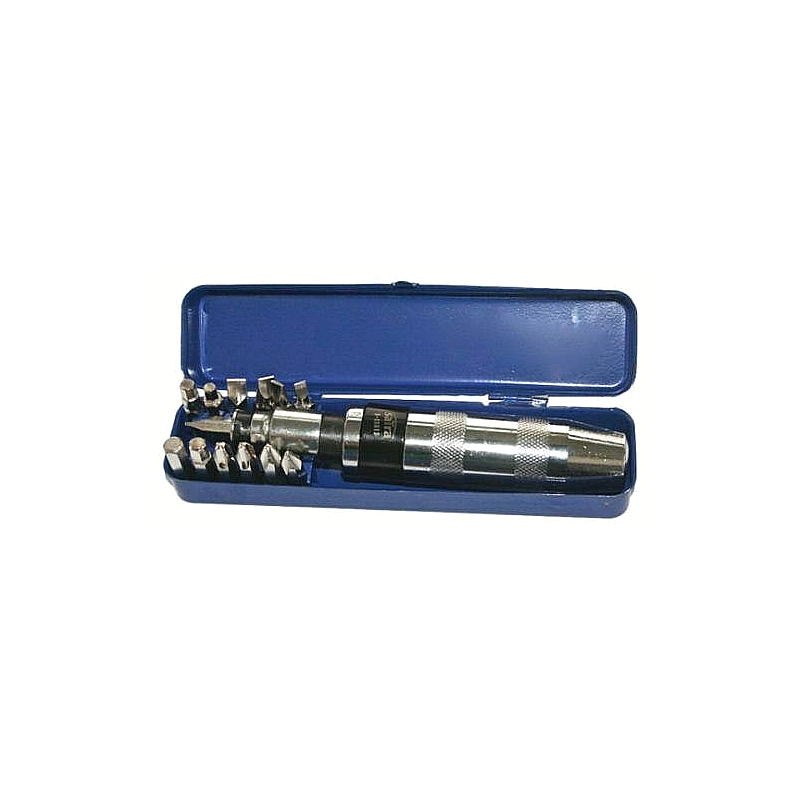 Coffret tournevis à frapper à chocs 1/2" + embouts 5/16" 13 pces SATRA S-XSH13