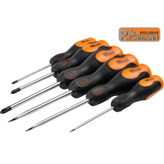 Module insert pour servante 6 tournevis aimantés plats et cruciformes CrMo C1232