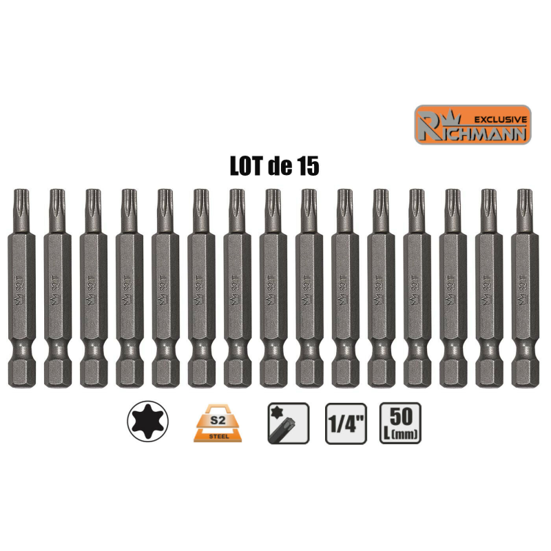 Lot 15 Embouts longs T25 TORX T-25 entrainement 1/4" S2 L50mm RICHMANN C6595