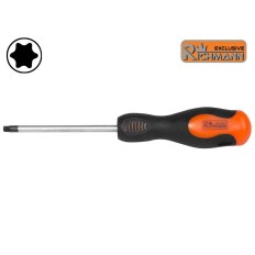 Tournevis Torx T5 X 75 MM Chrome-Molybdène Professionnel  RICHMANN C5460